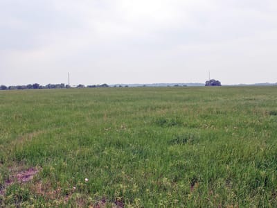Property photo 4 at 00 Brushy Branch RD - n/a, Lockhart, TX