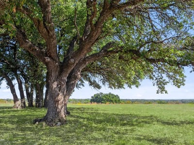 Living area at 00 County Road 224 - Lampasas, TX