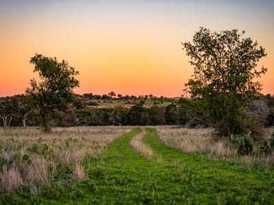 Property photo 5 at 00 F-m 2843 - Salado, TX
