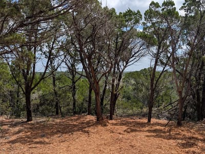 Property photo 3 at 00 Mountain Top CIR - Panoramic Hills Resub, Jonestown, TX
