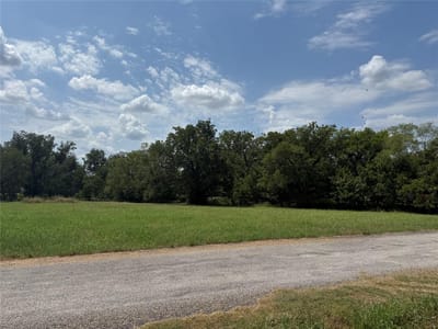 Property photo 2 at 00 Norma Jean BLVD - Doty River Estates, Smithville, TX