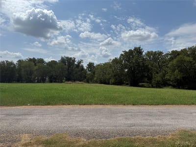 Property photo 3 at 00 Norma Jean BLVD - Doty River Estates, Smithville, TX