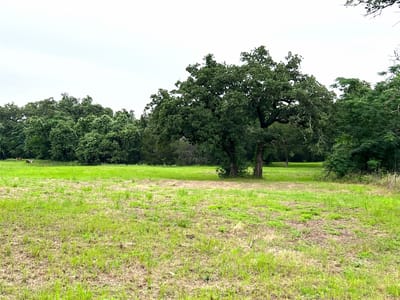 Property photo 3 at 00 Rosanky Cattle Company RD - none, Rosanky, TX