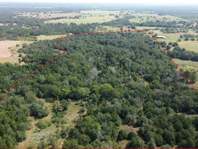 Living area at 00 TBD Fm 535 - Bymer, Bernard, Cedar Creek, TX