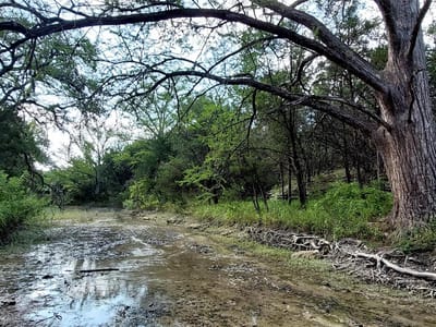 Property photo 3 at 00000 Brinkley DR - Paradise Hills, Wimberley, TX
