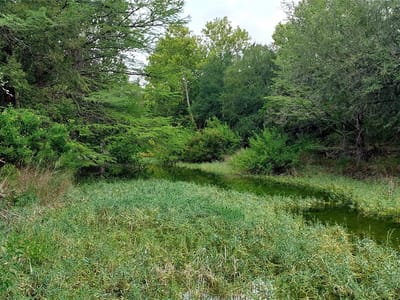 Property photo 4 at 00000 Brinkley DR - Paradise Hills, Wimberley, TX