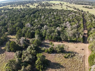 Photo 2 of 17 at 000 Charles Burnes LN - Rosanky, Rosanky, TX