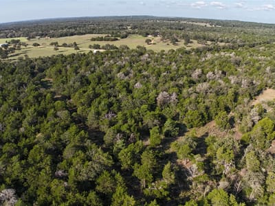 Photo 3 of 17 at 000 Charles Burnes LN - Rosanky, Rosanky, TX