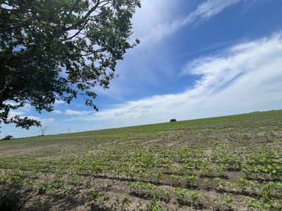 Property photo 2 at 65.47 acres CR 327 RD - I & G N R R Co, Granger, TX