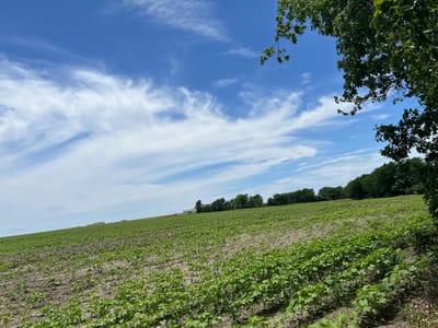 Property photo 3 at 65.47 acres CR 327 RD - I & G N R R Co, Granger, TX