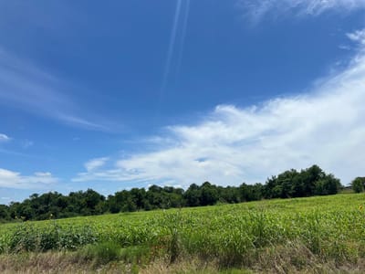 Property photo 4 at 65.47 acres CR 327 RD - I & G N R R Co, Granger, TX