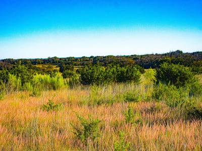 Primary bedroom at 000 County Road 1255 - The Ranches at Scenic Ridge, Lampasas, TX