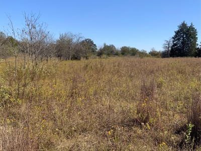 Primary bedroom at 000 County Road 304 - A192, Lexington, TX