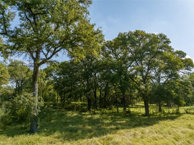 Primary bedroom at 000 CR 121 Rd - none, Oakalla, TX