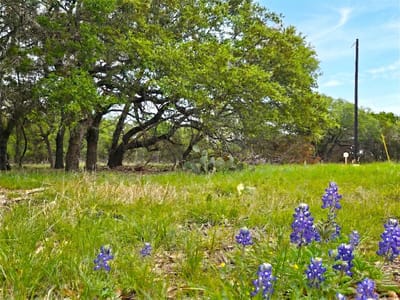 Living area at 000 Cr 206 - none, Lampasas, TX