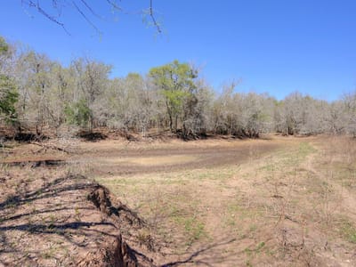 Primary bedroom at 000 Cr 420 - 105 Henry Bymer, Waelder, TX