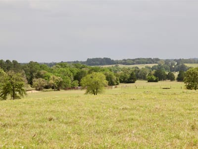 Primary bedroom at 000 Edmonson - No, McDade, TX