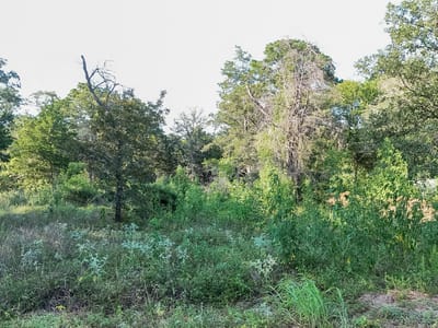 Property photo 3 at 000 Flint Ridge ST - Lake Bastrop Acres, Bastrop, TX