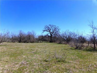 Primary bedroom at 000 FM 619 - Thomas E Shell Surv Abs # 557, Thrall, TX