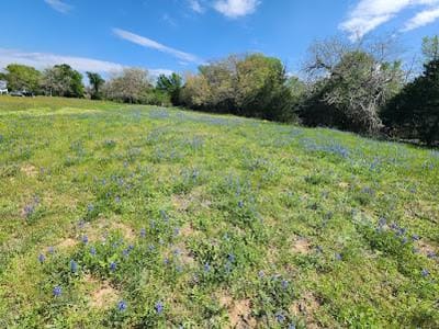 Property photo 5 at 000 Fm 812 RD - Stidham, Zachariah, Cedar Creek, TX