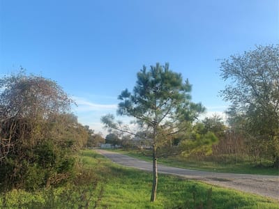 Property photo 3 at 000 Main ST - S7432, Rosanky, TX