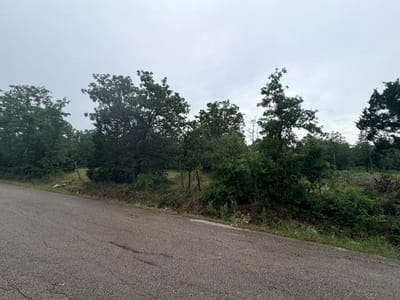Property photo 3 at 000 McDonald LN - none, Cedar Creek, TX