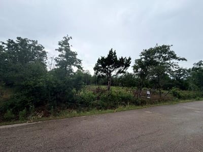 Property photo 5 at 000 McDonald LN - none, Cedar Creek, TX