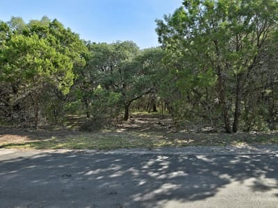 Primary bedroom at 000 Ridgetop Ter - Comanche Point 02, Austin, TX