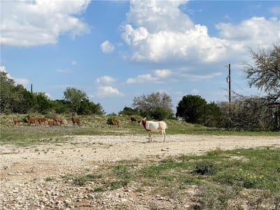 Living area at 000 River Shoals Dr Unit #Lot 109 - River Hills Ranches, Kempner, TX