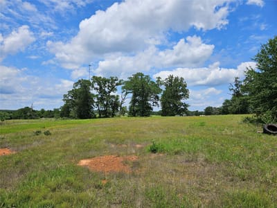 Primary bedroom at 000 TBD CR 346 Rd - none, Milano, TX