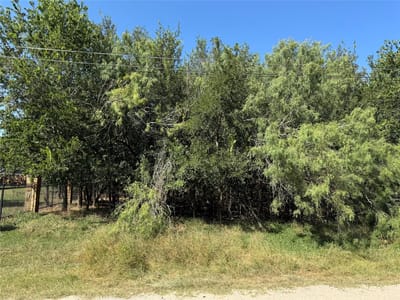 Property photo 4 at 000 W Pauwela LN - Tahitian Village,, Bastrop, TX