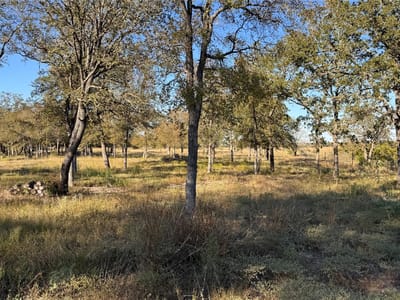 Photo 2 - 0000 Dickerson LN Photo 2 of 8 at 0000 Dickerson LN - Elgin, Elgin, TX