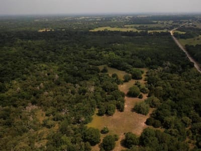 Living area at 0000 FM 141 - A022 WALLACE, J. Y., TRACT 022E, ACRES 9.424, Dime Box, TX