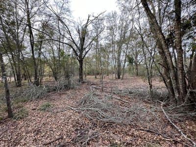 Primary bedroom at 0000 FM 141 - A022 WALLACE, J. Y., TRACT 022E, ACRES 9.424, Dime Box, TX