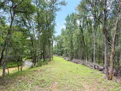 Property photo 2 at 0000 FM 2239 - A244 Mccollum, Elias, Paige, TX
