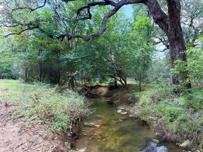 Property photo 3 at 0000 FM 2239 - A244 Mccollum, Elias, Paige, TX