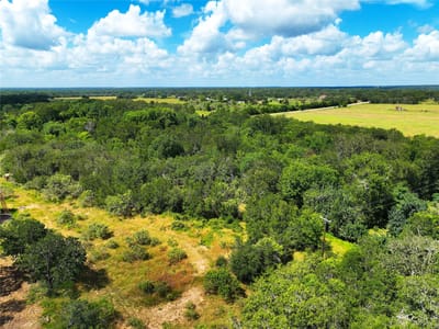 Property photo 4 at 0000 FM 2239 - A244 Mccollum, Elias, Paige, TX