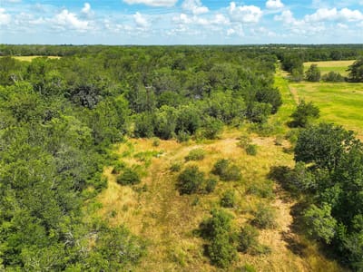 Property photo 5 at 0000 FM 2239 - A244 Mccollum, Elias, Paige, TX