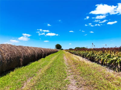 Property photo 2 at 0000 FM 621 - Cyrus Campbell, Martindale, TX