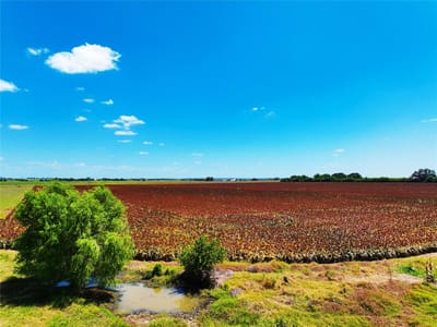 Property photo 3 at 0000 FM 621 - Cyrus Campbell, Martindale, TX