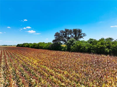 Property photo 4 at 0000 FM 621 - Cyrus Campbell, Martindale, TX