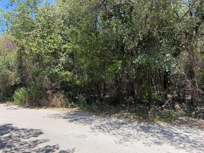 Property photo 5 at 0000 Great Eagle TRL - Apache Shores, Austin, TX