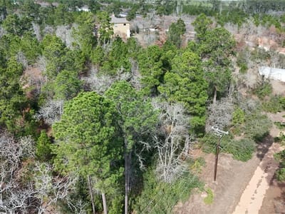 Property photo 4 at 0000 Makaha DR - Tahitian Village,, Bastrop, TX