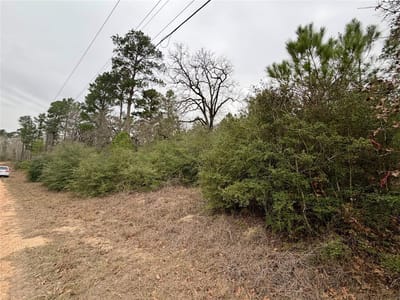 Property photo 5 at 0000 Makaha DR - Tahitian Village,, Bastrop, TX