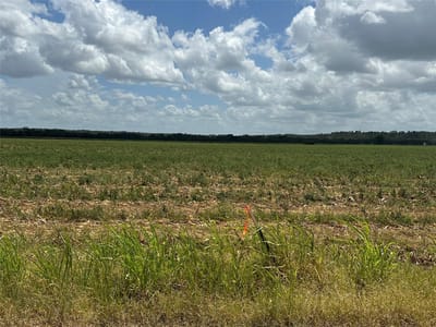 Property photo 3 at 0000 Rabbs Prairie RD - A086, La Grange, TX