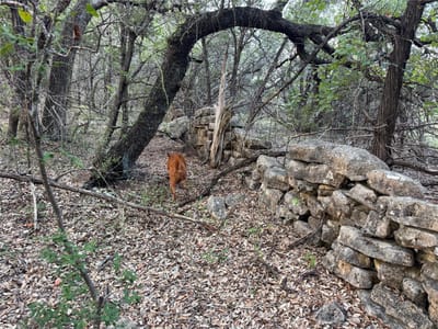 Property photo 3 at 0000 Round Mountain RD - Bingham Creek Ranch, Leander, TX
