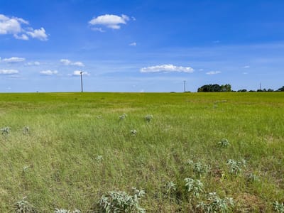 Property photo 5 at 0001 Old McMahan RD - Twin Roads, Lockhart, TX