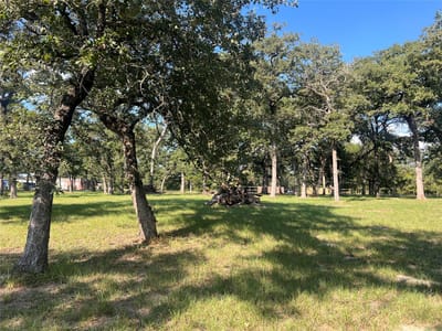 Living area at 1.921 AC Cardinal Rd - Beaver Creek, Caldwell, TX