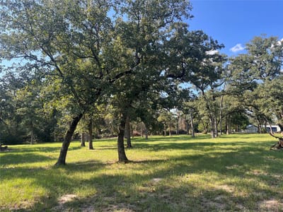 Primary bedroom at 1.921 AC Cardinal Rd - Beaver Creek, Caldwell, TX