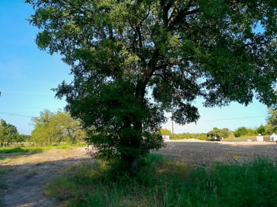 Property photo 3 at 100 Serenity DR - SERENITY SPRINGS, Liberty Hill, TX